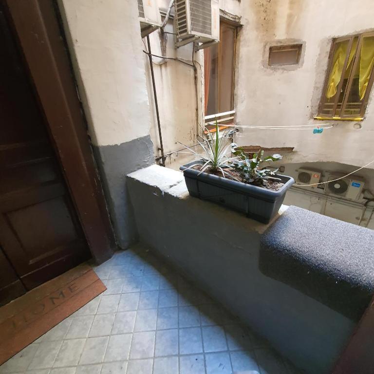 Napolix Centro, Intero Appartamentino, Casa Vacanze, Suite Tricamere Nel Cuore Di Napoli Buitenkant foto